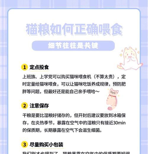 小月龄猫咪的猫粮喂食指南是什么？