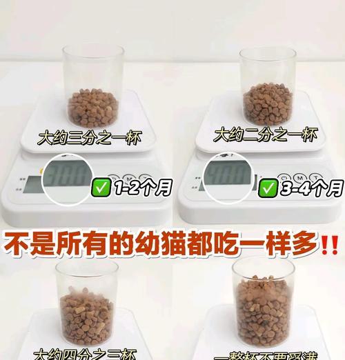 小月龄猫咪的猫粮喂食指南是什么？