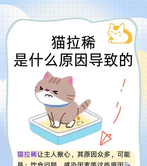湿猫粮中添加了什么会导致猫咪拉稀？如何避免这种情况？