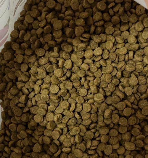 为什么火鸡不常被用作猫粮成分？