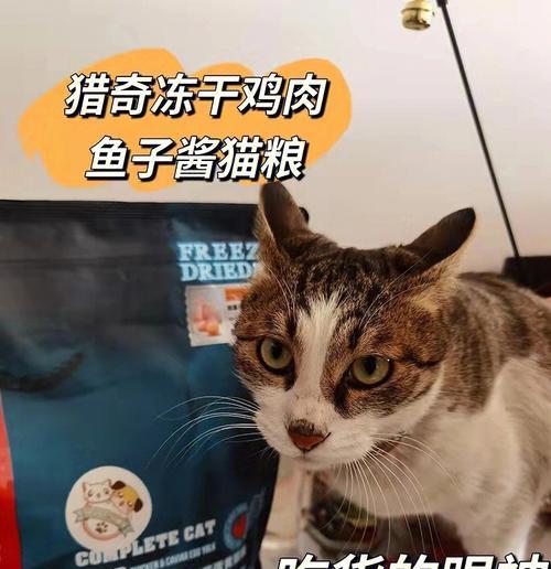 猫粮鸡肉丁怎么制作的好吃？有哪些方法可以让猫粮中的鸡肉丁更加美味？