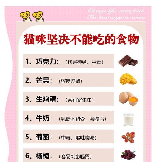 猫咪只吃猫粮是否健康？正确的喂食方法是什么？