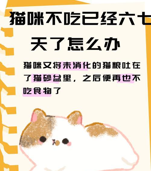 小猫拒绝新鲜猫粮的原因是什么？