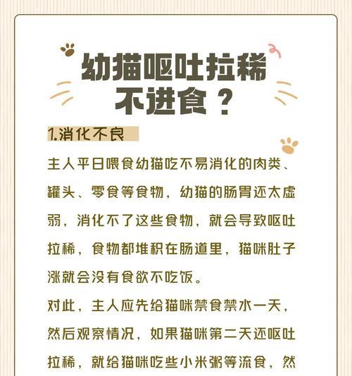 猫咪吃得少却呕吐是什么原因？如何预防和处理？