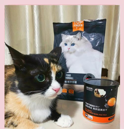 如何自制蛋黄猫粮？有哪些步骤？