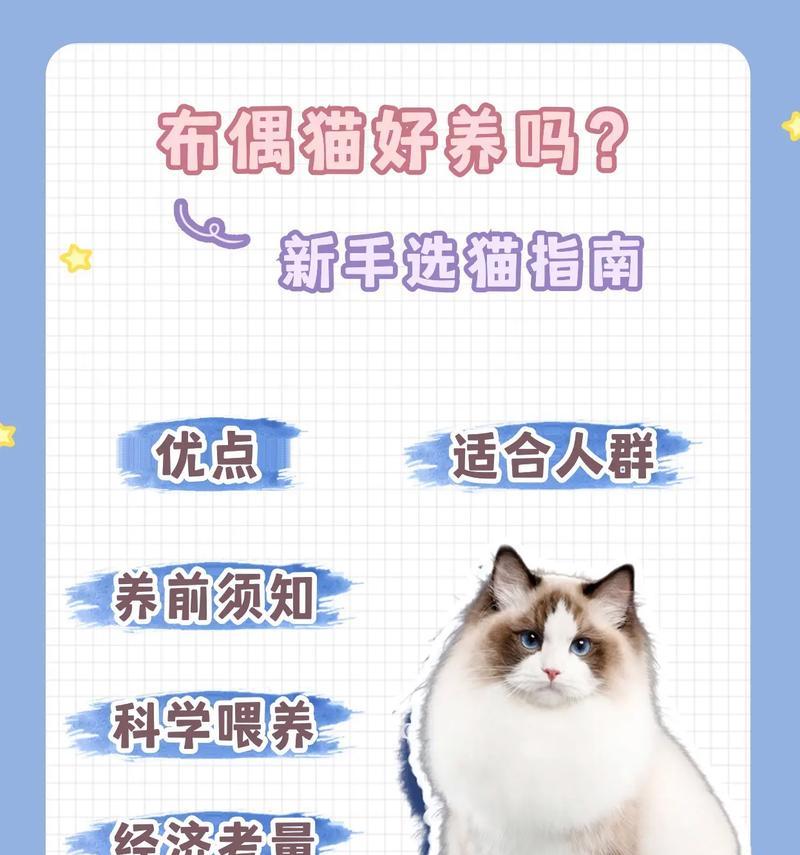 布偶猫长毛长肉应该喂哪种猫粮？如何制定合理的喂食计划？
