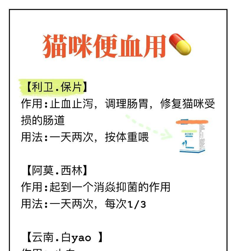 劣质猫粮导致拉血应如何治疗？