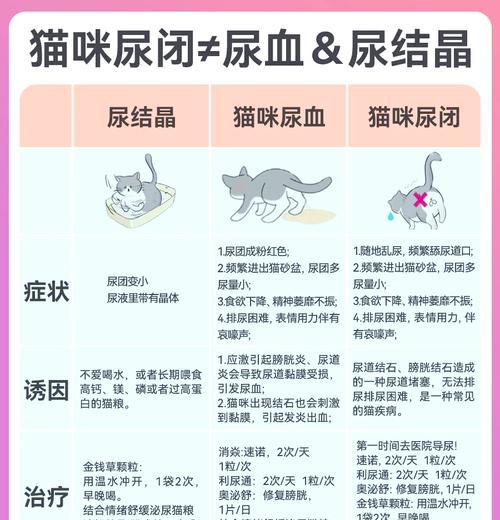 劣质猫粮导致拉血应如何治疗？