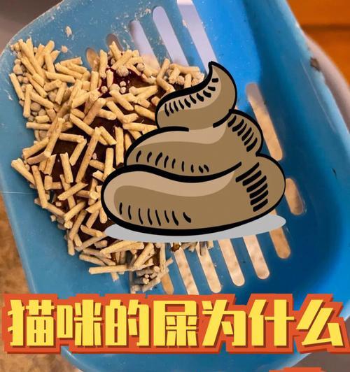 猫咪换猫粮后拉屎硬是什么原因？如何解决这个问题？
