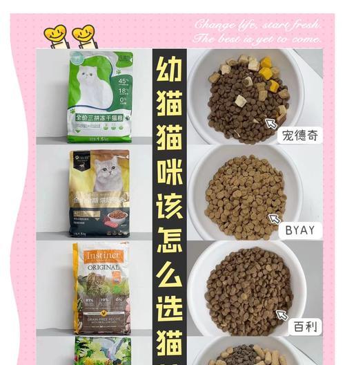 小猫不依赖猫粮如何喂养？有哪些替代方案？