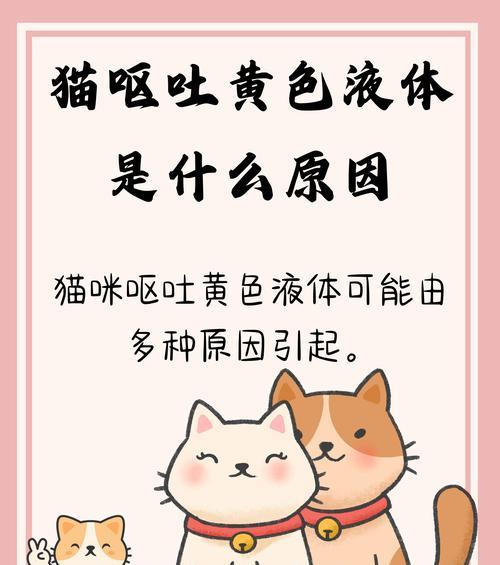 猫咪突然没胃口不吃饭是怎么回事？有哪些可能的原因？