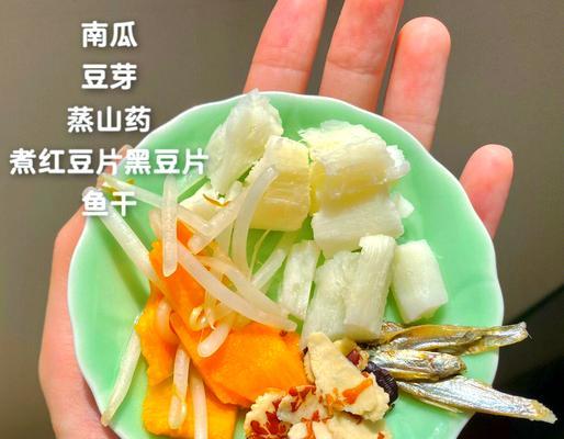 宠物老鼠的正确饮食是什么？