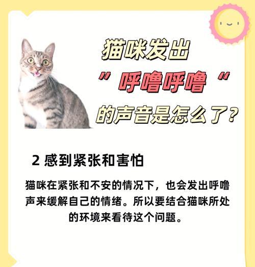 幼猫不吃猫粮一直呼噜怎么回事？是否需要看兽医？