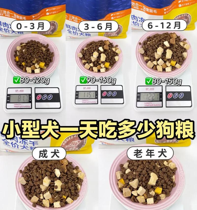七个月大的德牧每日狗粮摄入量是多少？