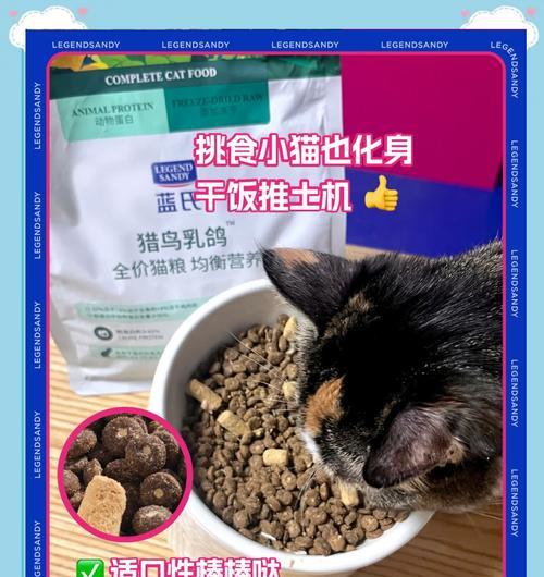 蓝氏猫粮的正确喂食方法是什么？