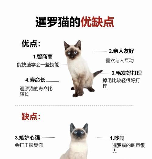 暹罗猫拒食猫粮该如何处理？