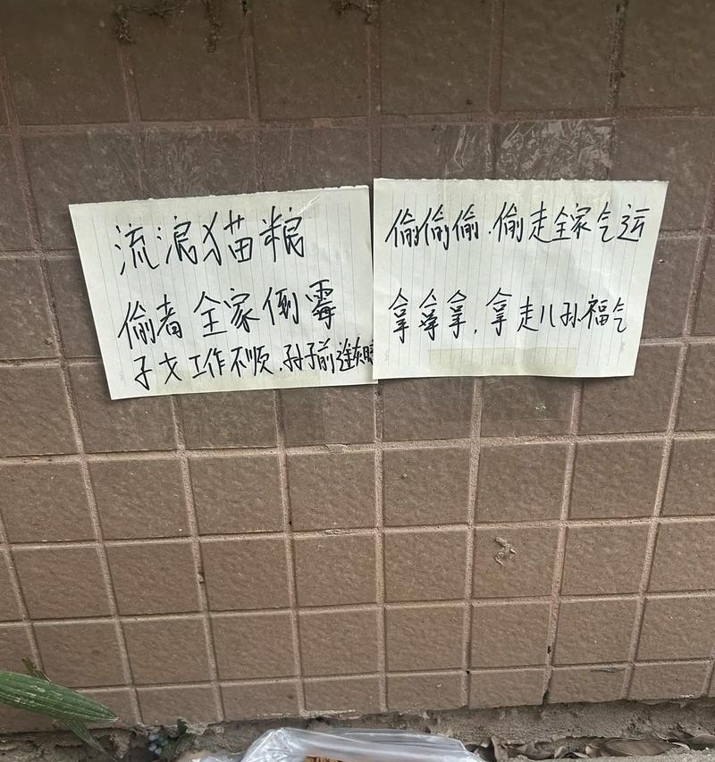 把猫粮偷走了怎么办啊？如何防止猫粮被盗？