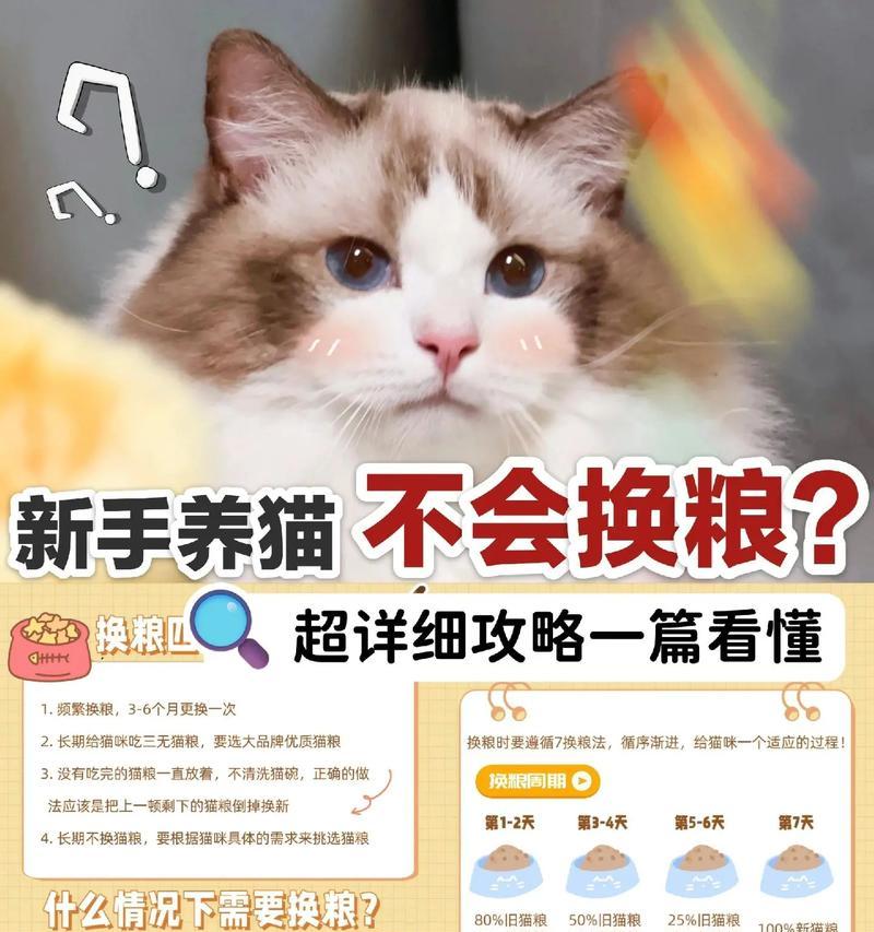 晚上睡前是否应该给猫放粮？这样做有什么好处或坏处？