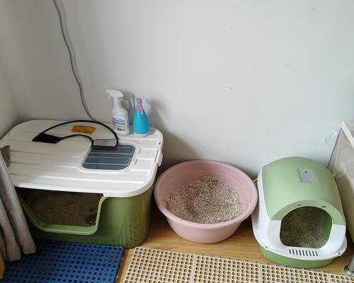 晚上睡前是否应该给猫放粮？这样做有什么好处或坏处？
