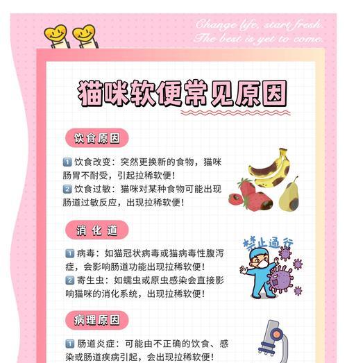 猫咪咀嚼猫粮声音沙哑如何解决？