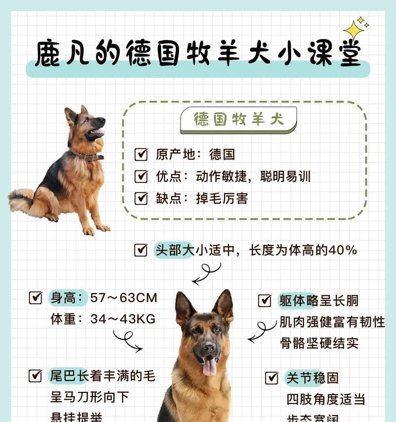 13天大的德国牧羊犬体重标准是多少？如何监测幼犬的健康发育？