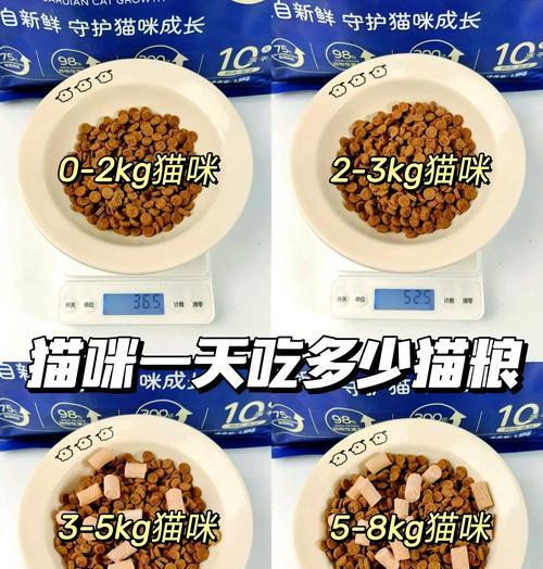 猫咪生产后应喂食哪种猫粮？