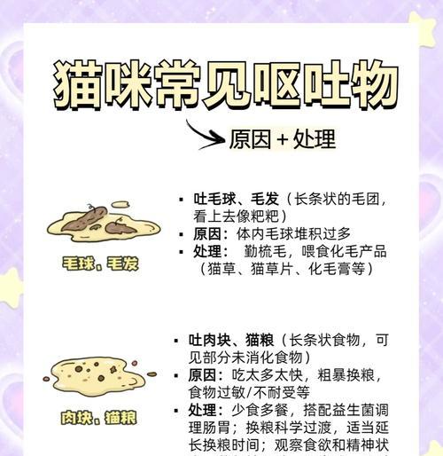猫咪吐出猫粮后应该采取什么措施？如何预防这种情况？