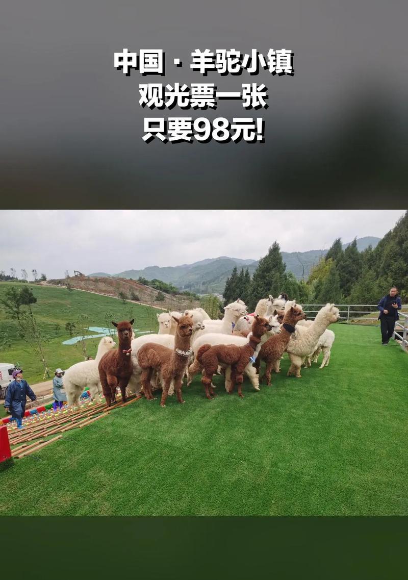 羊驼小镇4号未来几天天气预报？出行应该准备什么？
