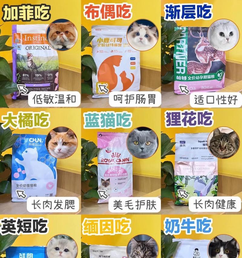 携带猫粮去猫国岛的体验如何？需要准备些什么？