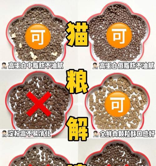猫咪拒绝多种猫粮原因何在？如何解决猫粮不吃的难题？