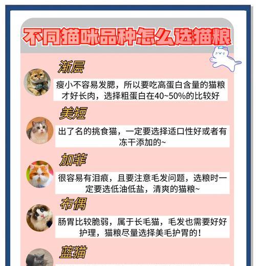寄送猫粮时应注意什么？如何确保猫粮新鲜？