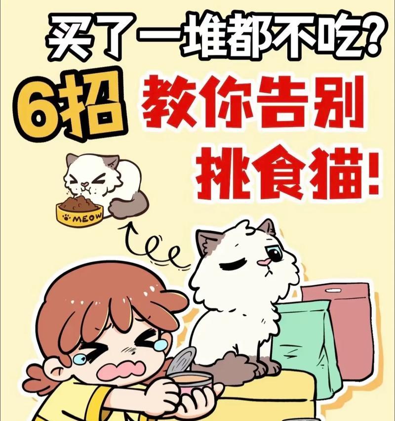 震惊吃猫粮小猫怎么办？小猫误食猫粮后应如何处理？
