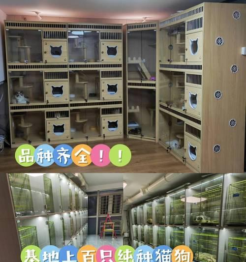 乾安公园哪里有卖猫粮的？