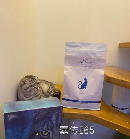 乾安公园哪里有卖猫粮的？