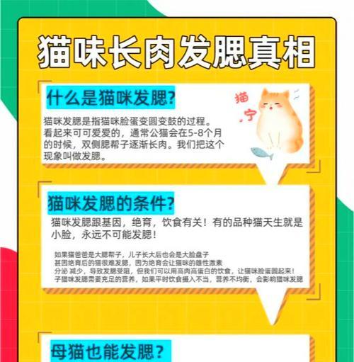如何让猫长胖？掺猫粮加什么好？