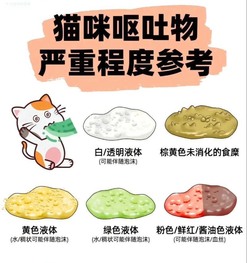 猫咪绝育后呕吐猫粮，如何处理？