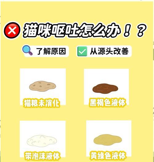 猫咪绝育后呕吐猫粮，如何处理？