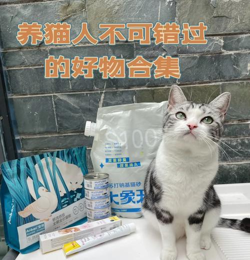 猫砂与猫粮有何关联？