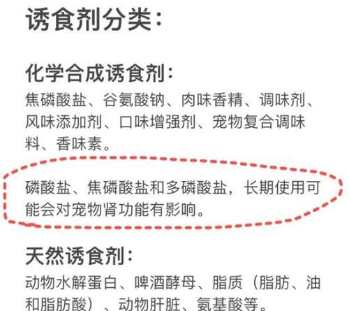 猫粮加水了怎么办啊？会影响猫咪的健康吗？