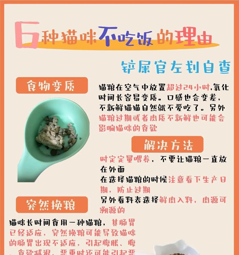 猫咪突然不吃了零钱粮是什么原因？如何解决？