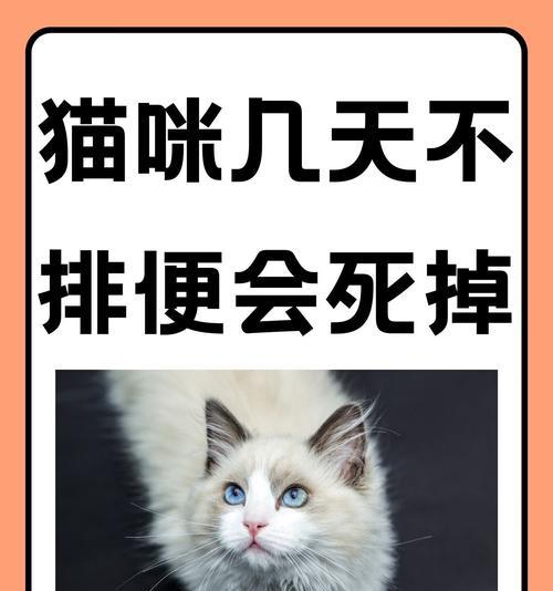 奥丁猫粮对猫咪排便有何影响？猫咪排便不畅怎么办？