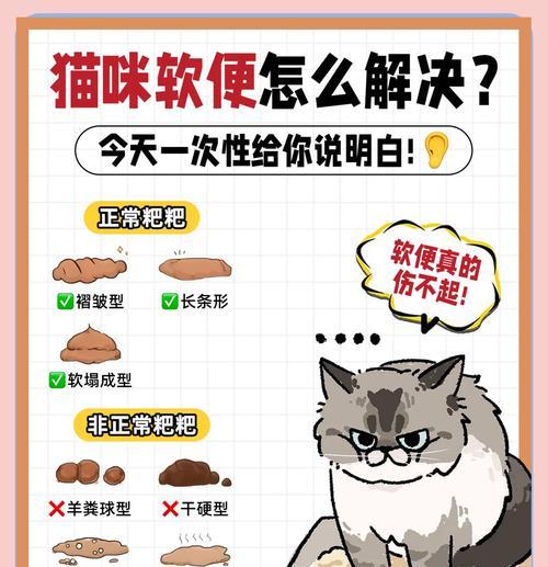 奥丁猫粮对猫咪排便有何影响？猫咪排便不畅怎么办？
