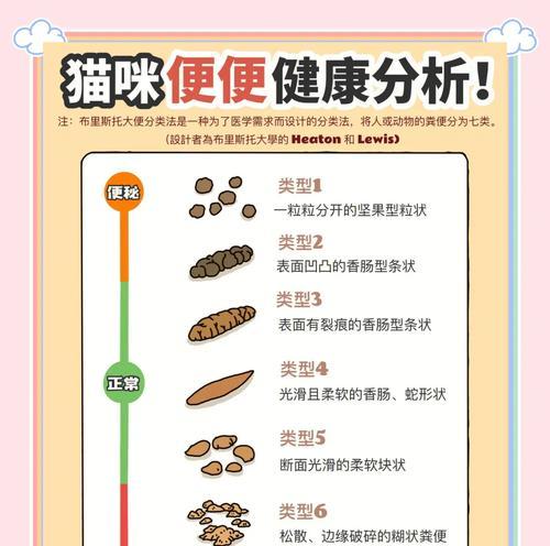 奥丁猫粮对猫咪排便有何影响？猫咪排便不畅怎么办？