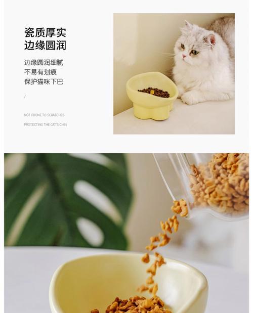 猫粮碗的最佳放置位置是什么？