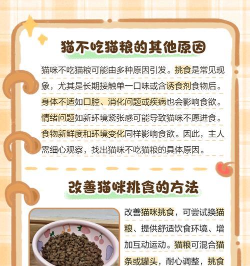 猫咪对渴望猫粮情有独钟是为什么？