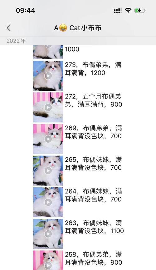 猫咪误食过期猫粮怎么办？如何预防此类情况？