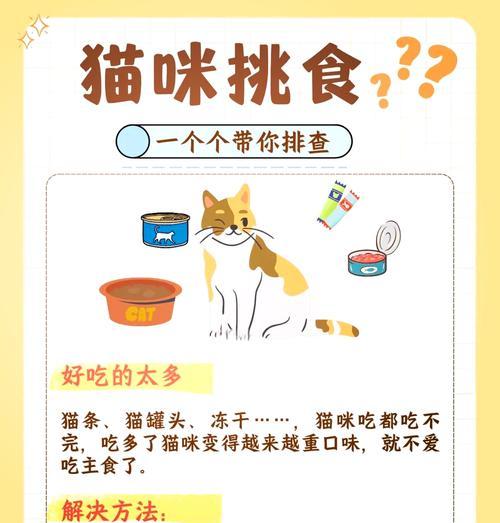 猫咪误食过期猫粮怎么办？如何预防此类情况？