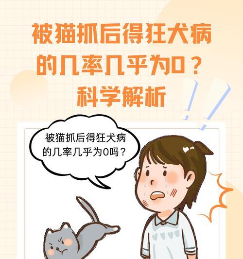 狗子抢猫粮被揍了怎么办？如何防止宠物间的争抢？