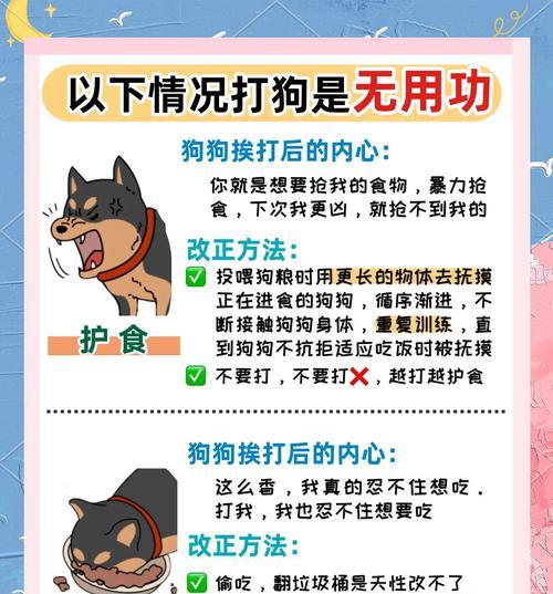 狗子抢猫粮被揍了怎么办？如何防止宠物间的争抢？