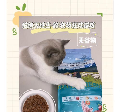 最近流行一款猫粮品牌叫什么？猫什么情况下吃猫粮会天天吐？